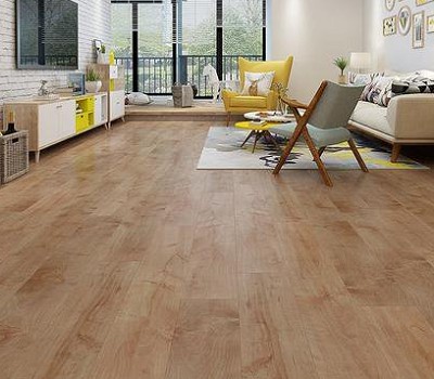 清潔南投木紋塑膠地板的拖把